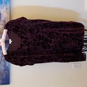 Wilfred (Aritzia) Silk and Velvet Dress (Bouchette)